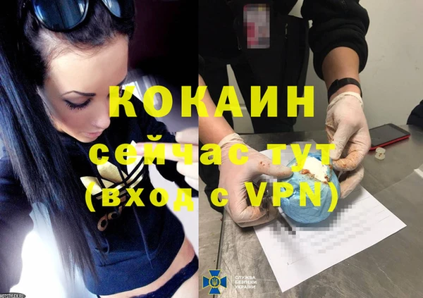 гидра Белокуриха