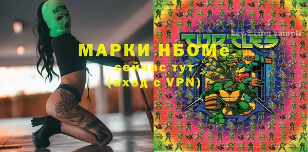 гидра Белокуриха