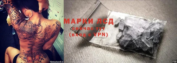 гидра Белокуриха
