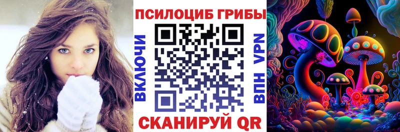 блэк спрут ТОР Ворсма Галлюциногенные грибы мицелий